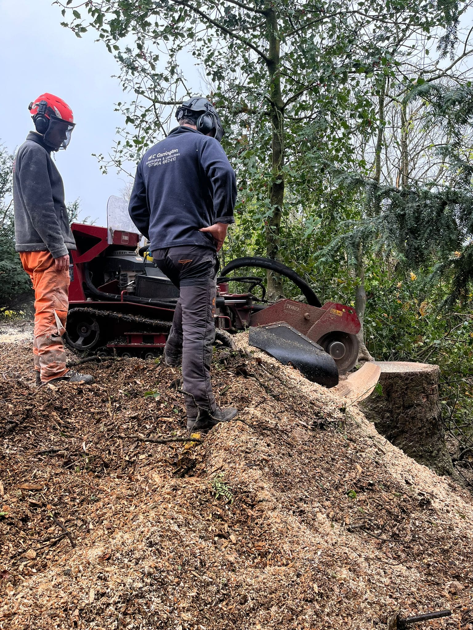 Side shot stump grinding in rochdale, manchester